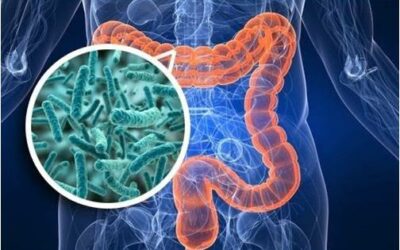 The human microbiome: The food industry & health insight