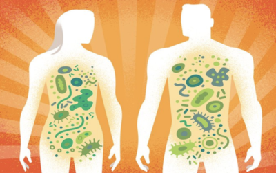 The Human microbiome: a burning research field with multipleapplications