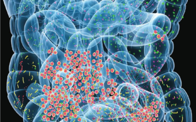 The human microbiome: an emerging microbiome biotech ecosystem, dominated by the United States