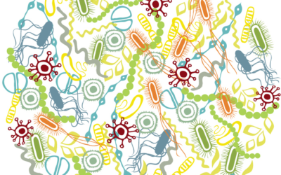 The human microbiome: The third microbiome wave is underway with the emergence of private microbiome platforms