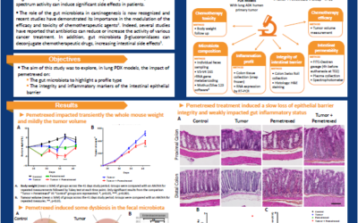 Effects of pemetrexed chemotherapy on gut microbiota and digestive inflammation in Patient-Derived Tumor Xenograft (PDX) Models