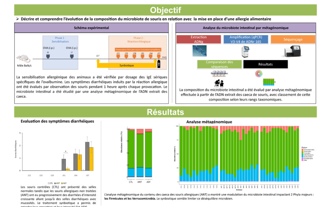 Poster: Decrease diarrheal symptoms and modulation of intestinal microbiota by a new synbiotic in a murine model of food allergy