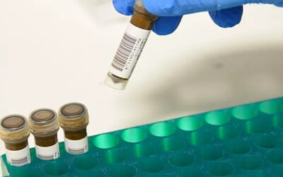 Towards standards for human fecal sample processing in metagenomic studies